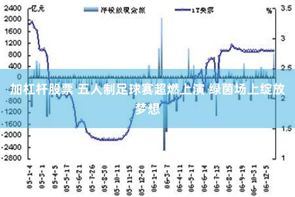 加杠杆股票 五人制足球赛超燃上演 绿茵场上绽放梦想