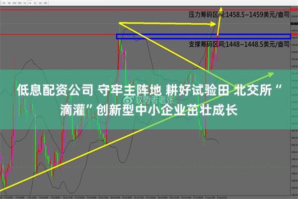 低息配资公司 守牢主阵地 耕好试验田 北交所“滴灌”创新型中小企业茁壮成长