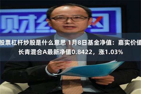 股票杠杆炒股是什么意思 1月8日基金净值：嘉实价值长青混合A最新净值0.8422，涨1.03%