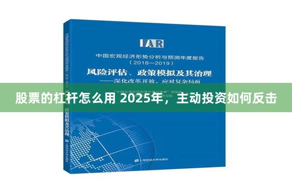 股票的杠杆怎么用 2025年，主动投资如何反击